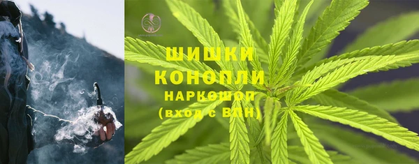 PSILOCYBIN Фурманов