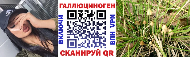 Галлюциногенные грибы мицелий  кракен вход  Электросталь 